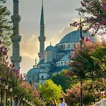 Myra Sea Sultanahmet Istambul