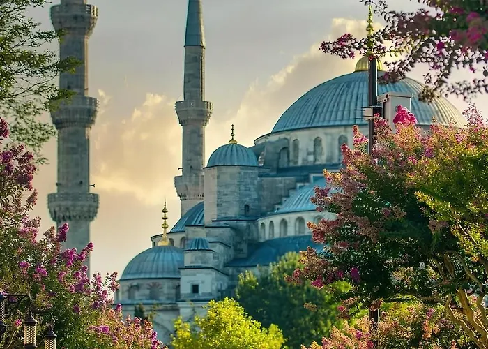 Myra Sea Sultanahmet 伊斯坦布尔