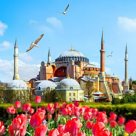 Myra Sea Sultanahmet * Provincia di Istanbul